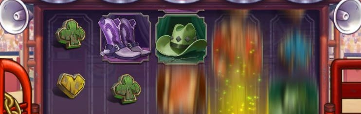 black friday petshop
